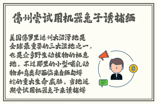 a4yy万达影视